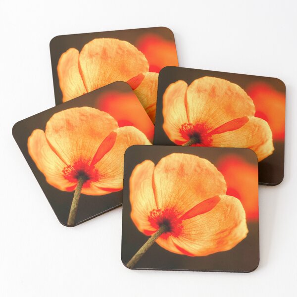 Item preview, Bring On The Sun designed and sold by Jim Love.