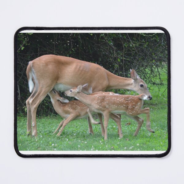 Item preview, Such a good mama designed and sold by DeerestPhotos.