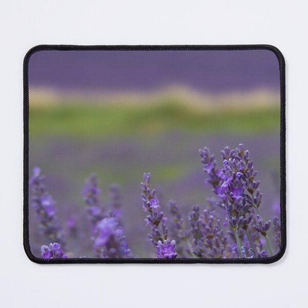 Item preview, Lavender field designed and sold by DiscoverySB.