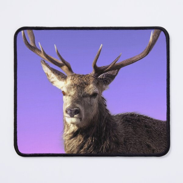 Item preview, Highland Stag designed and sold by Tom McPherson Photography.