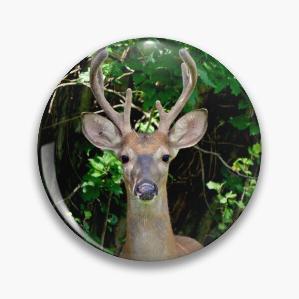 Item preview, Wise guy designed and sold by DeerestPhotos.