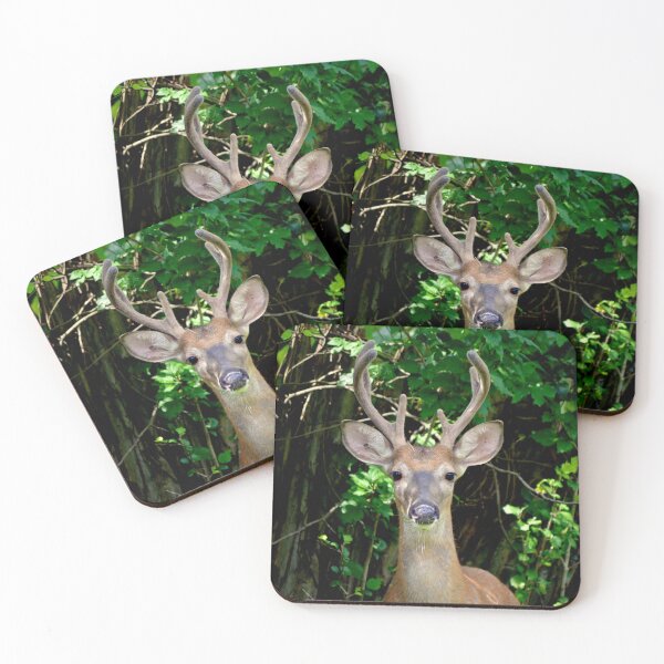 Item preview, Wise guy designed and sold by DeerestPhotos.