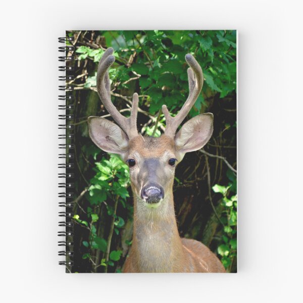 Item preview, Wise guy designed and sold by DeerestPhotos.
