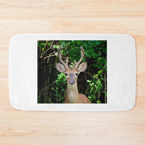 Item preview, Wise guy designed and sold by DeerestPhotos.