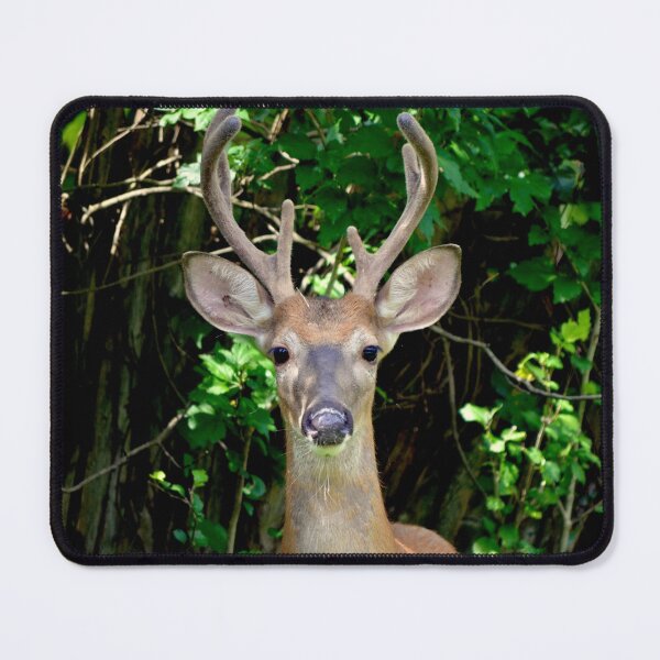 Item preview, Wise guy designed and sold by DeerestPhotos.