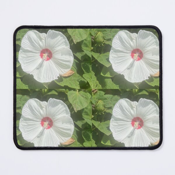 Item preview, Beautiful White Flower designed and sold by SHY Designs .