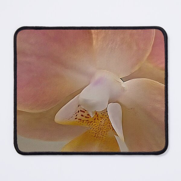 Item preview, Gentle Hues of a Moth Orchid designed and sold by Betsy Phillips.