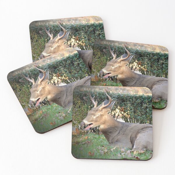 Item preview, Yawn! designed and sold by DeerestPhotos.