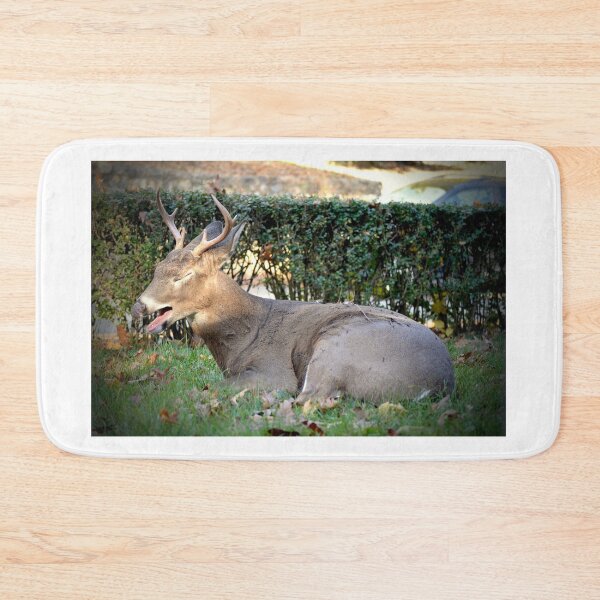 Item preview, Yawn! designed and sold by DeerestPhotos.