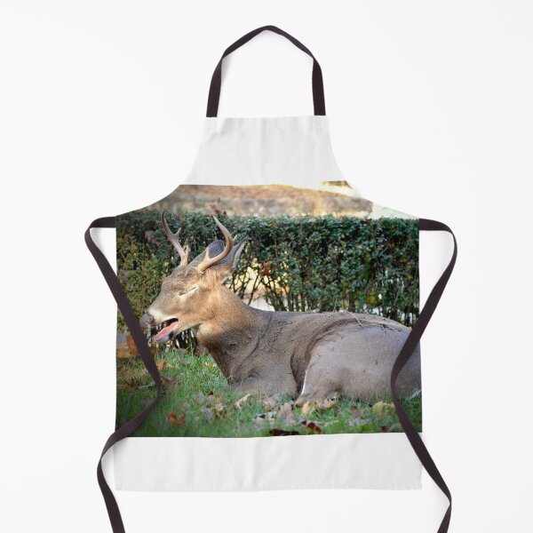 Item preview, Yawn! designed and sold by DeerestPhotos.