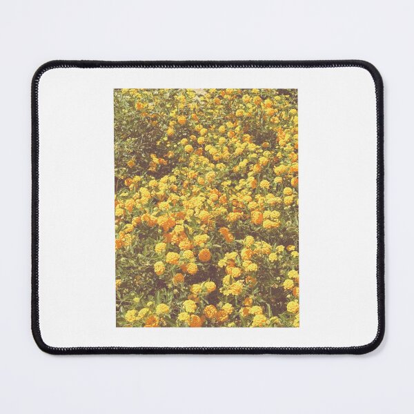 Item preview, Beautiful display of Bee Juice designed and sold by SHY Designs .