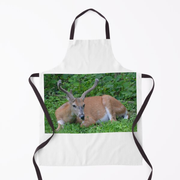 Item preview, Make My Day designed and sold by DeerestPhotos.