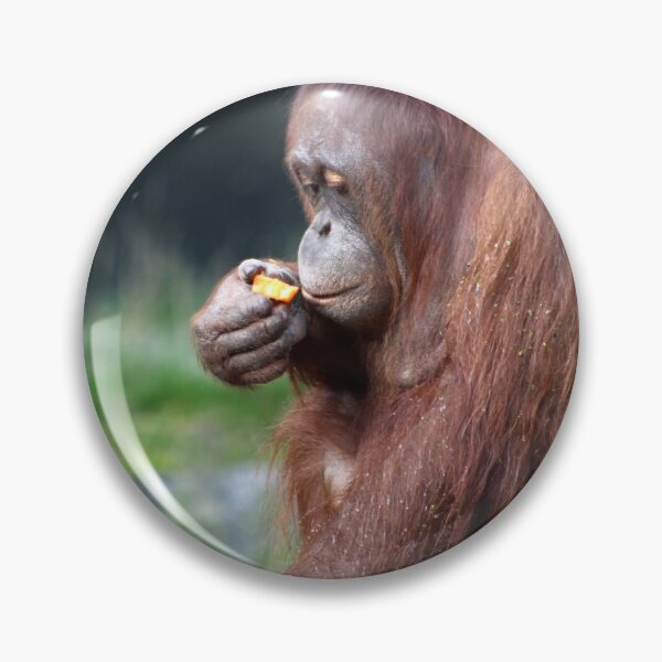 Item preview, Beautiful Orangutan  designed and sold by Bethany's Point Of View .