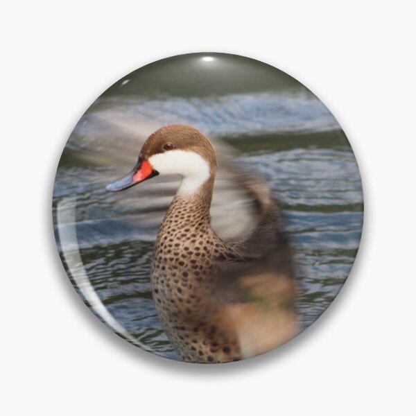 Item preview, White-cheeked Pintail Duck blurred wings  designed and sold by Bethany's Point Of View .