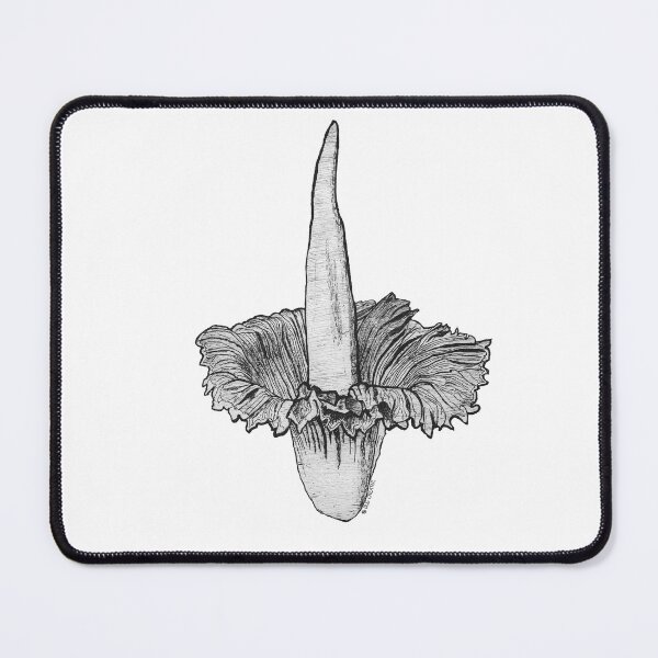Item preview, Corpse Flower | Black and White Sketch designed and sold by BugCreative.
