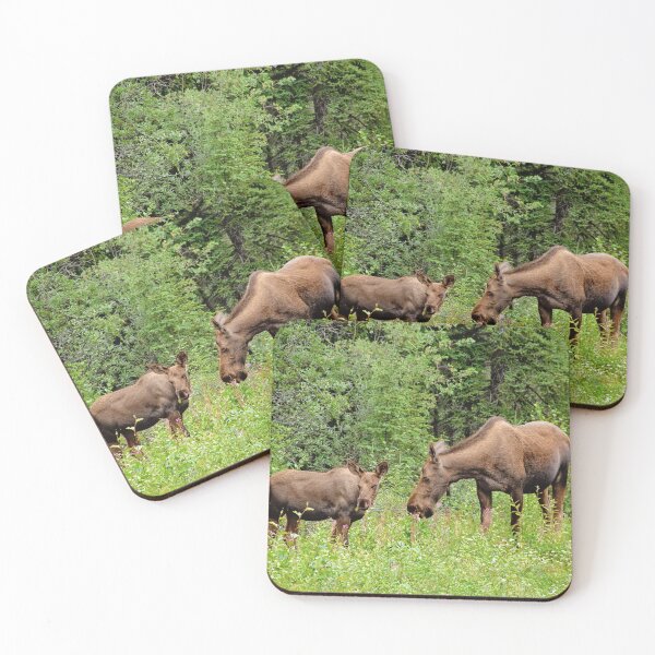 Item preview, Moose and Calf in Alaska designed and sold by irishmurr.