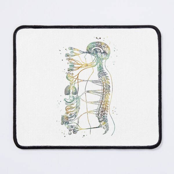Item preview, Autonomic nervous system designed and sold by VolkerHartnnd.