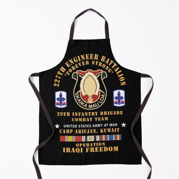 Item preview, Army - 227th Engineer Battalion, 29th Infantry Brigade Combat Team - amp ArifjCan Kuwait - OIF w IRAQ SVC designed and sold by Military Insignia Products.