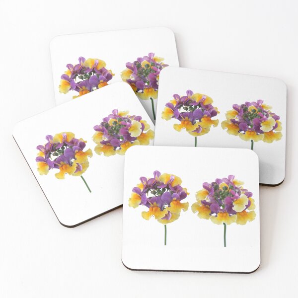 Item preview, Nemesia  Aroma Rhubarb & Custard  Aroma Series  designed and sold by Chris Burrows.