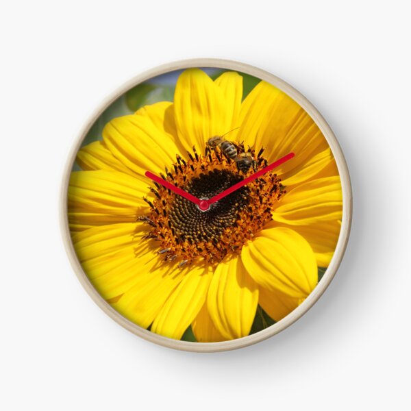 Leuchtende Sonnenblume mit Bienen Uhr
