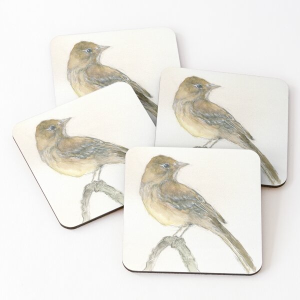 Item preview, Pacific Flycatcher designed and sold by Barbara E Wyeth.