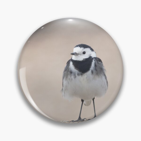 Item preview, White wagtail on a wall designed and sold by Angus1029.