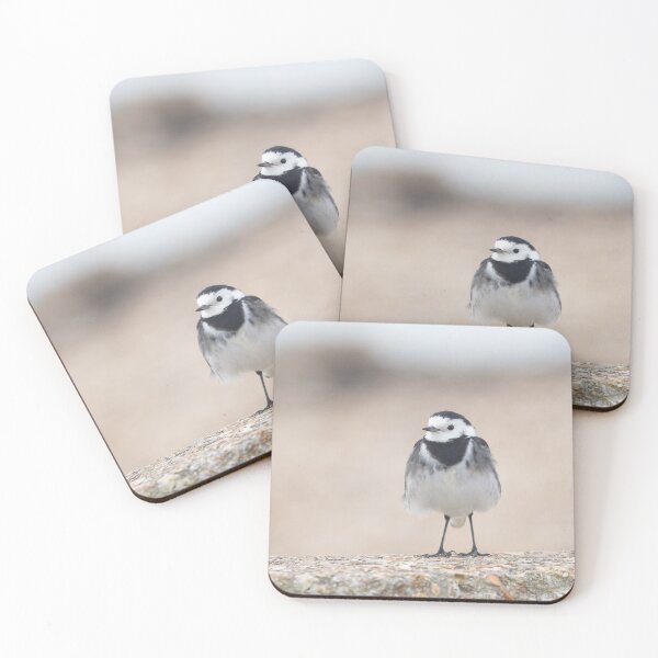 Item preview, White wagtail on a wall designed and sold by Angus1029.