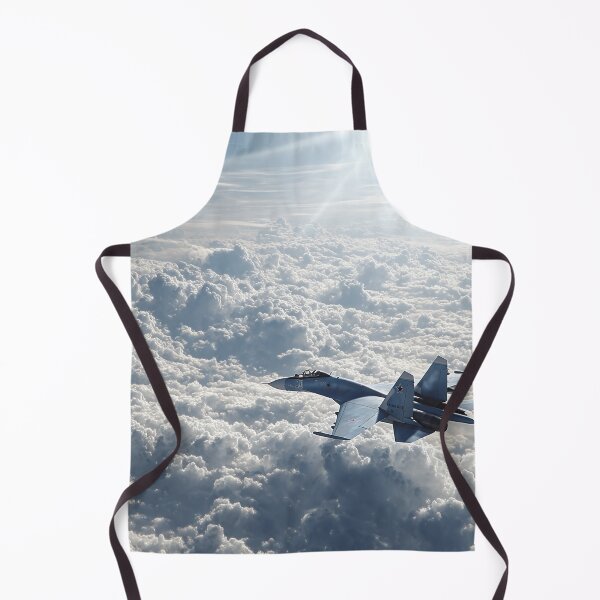 Item preview, Sukhoi Su-27 at Skydome Edge designed and sold by Skyframe Aviation.