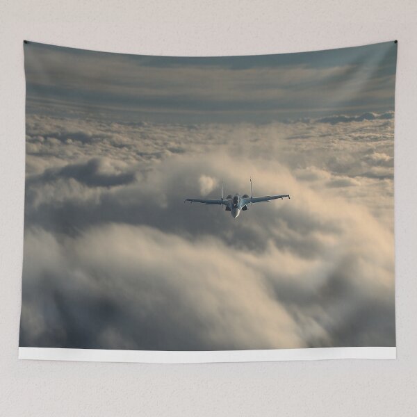 Item preview, Sukhoi Su-27 in Full Tilt designed and sold by Skyframe Aviation.