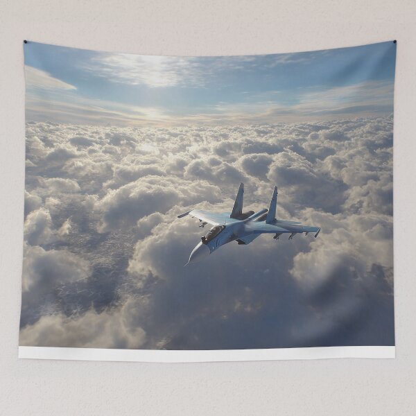 Item preview, Sukhoi Su-27 in Arctic Sky designed and sold by Skyframe Aviation.