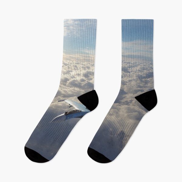 Item preview, Sukhoi Su-27 in Arctic Sky designed and sold by Skyframe Aviation.