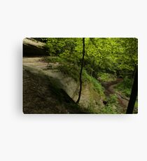 Danger Zone Canvas Print