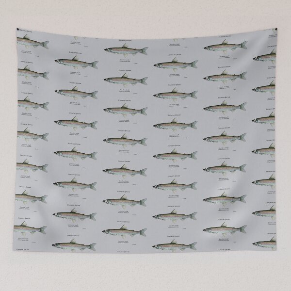 Item preview, Rainbow Smelt Painting designed and sold by Stephen Emms.