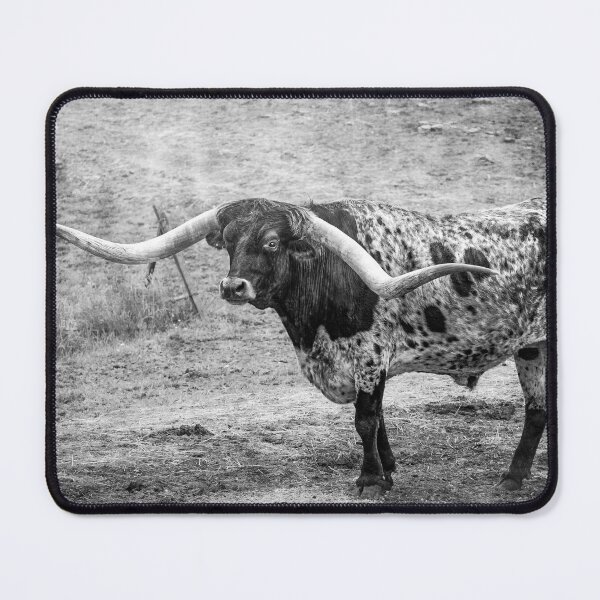 Item preview, Impressive Beauty designed and sold by Jim Love.