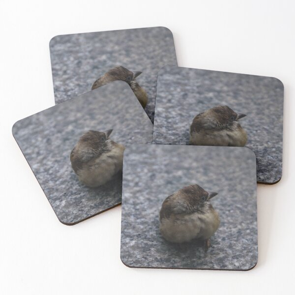 Item preview, Maya Bird designed and sold by ROSE ANN BANILAR.