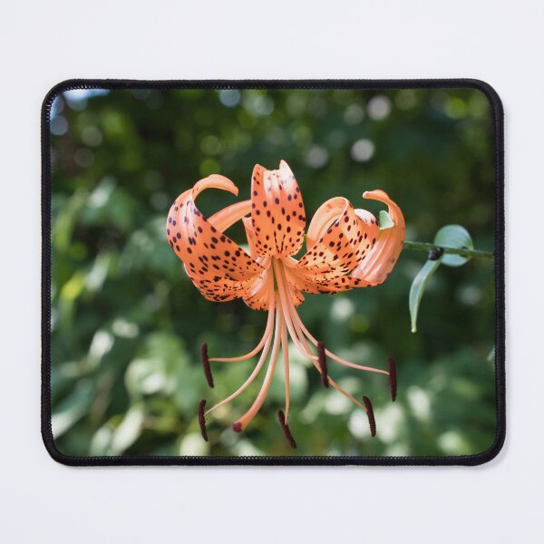 Item preview, Splendid Tiger Lily in Sunlit Garden designed and sold by Georgia Mizuleva.