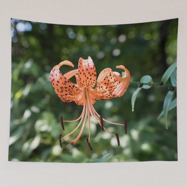Item preview, Splendid Tiger Lily in Sunlit Garden designed and sold by Georgia Mizuleva.