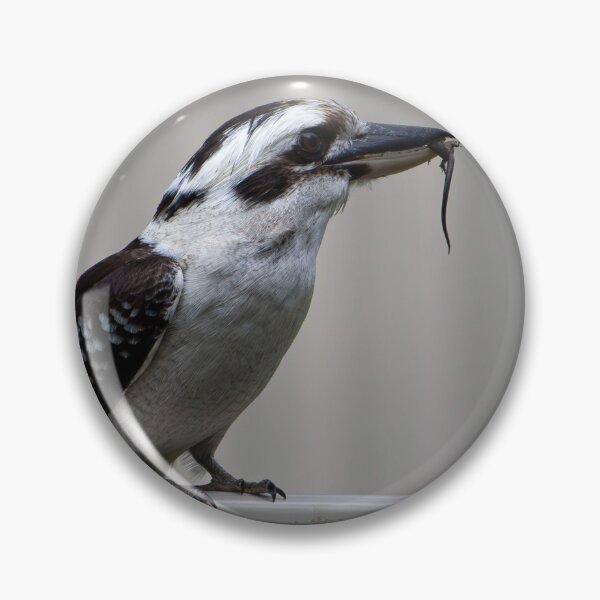 Item preview, Kookaburra  designed and sold by exxpiiredd.