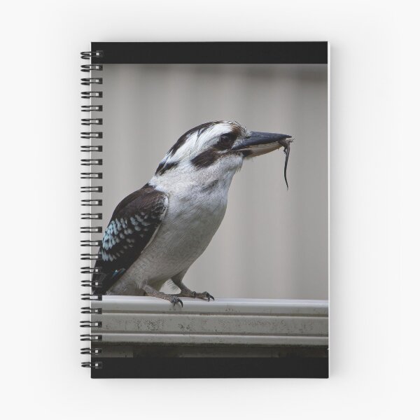 Item preview, Kookaburra  designed and sold by exxpiiredd.