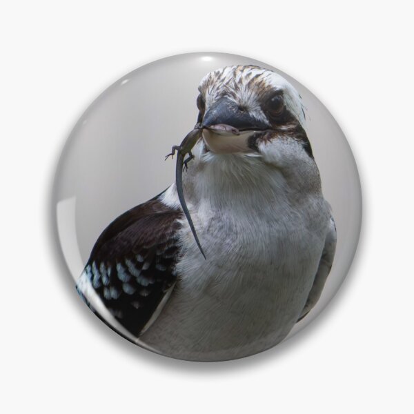 Item preview, Kookaburra Eating designed and sold by exxpiiredd.