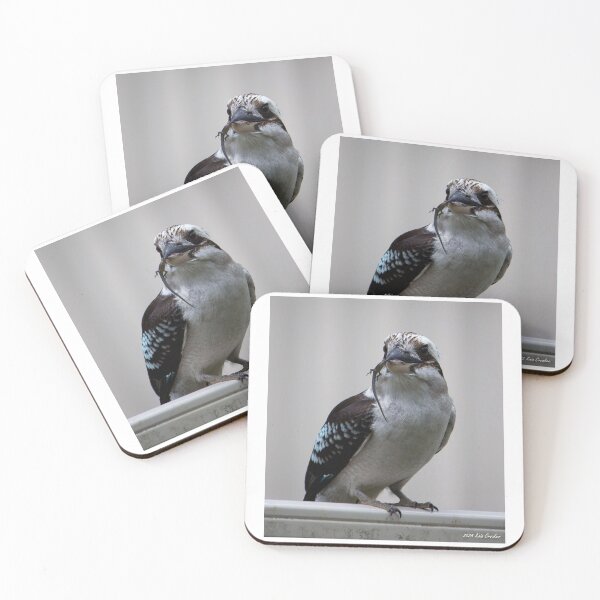 Item preview, Kookaburra Eating designed and sold by exxpiiredd.