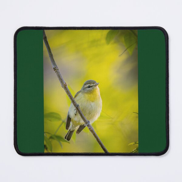 Item preview, Philadelphia Vireo on a Branch  designed and sold by Shannon Emmel .