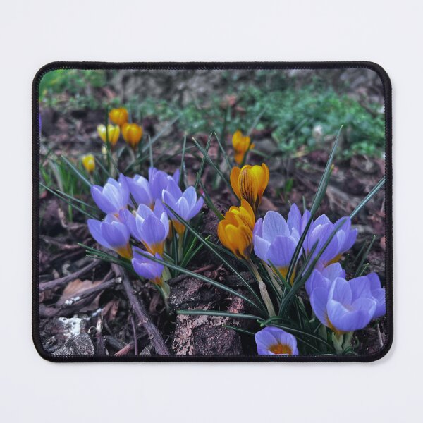 Item preview, Flower, Blumen, Enjoy, Natur , Beauty, Relax, Color designed and sold by Yaroplanner.