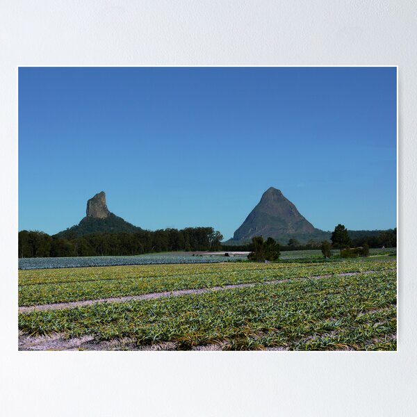 Item preview, Mt Coonowran and Mt Beewah designed and sold by Jeanette Harrison.