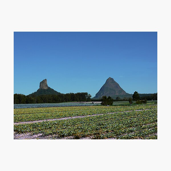 Artikelvorschau, Mt Coonowran and Mt Beewah entworfen und verkauft von Jeanette Harrison.