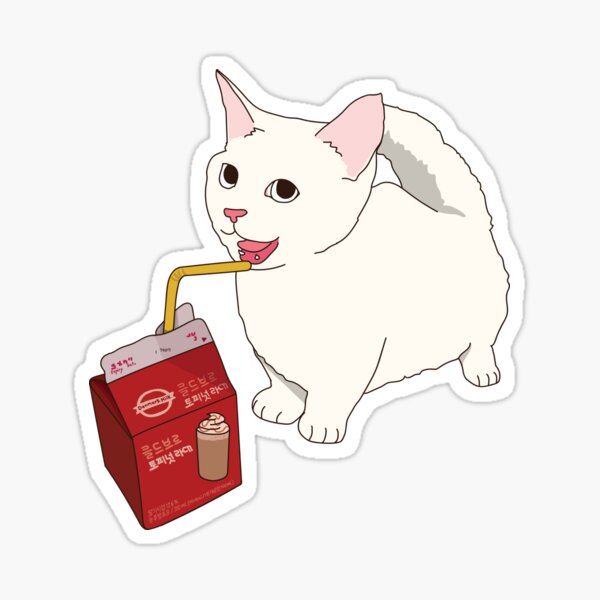 Cat drinking meme Sticker