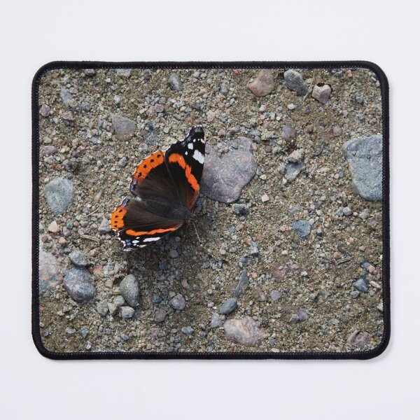 Item preview, Grounded. Red Admiral designed and sold by Jouko Lehto Photography.