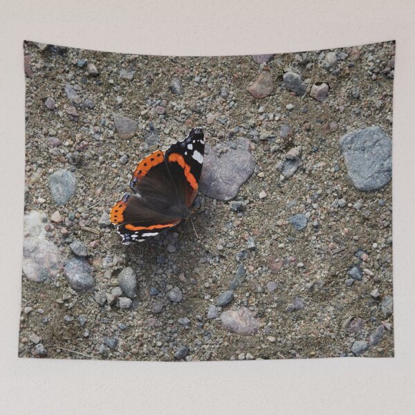 Item preview, Grounded. Red Admiral designed and sold by Jouko Lehto Photography.