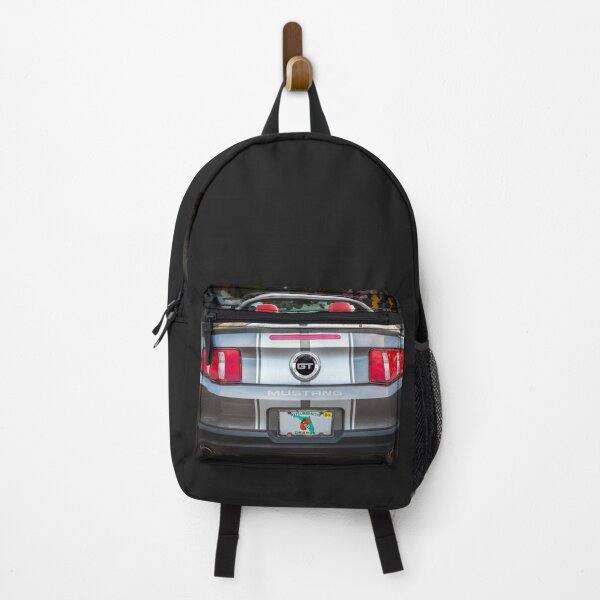 Item preview, 2010 Gray Ford Mustang GT Convertible X103 designed and sold by RichFrancoCars.
