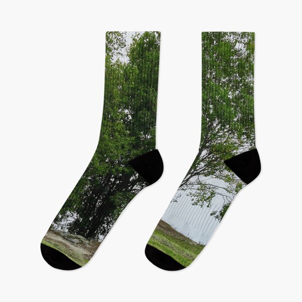 Item preview, Trees against the sky. Parkkuu 2025 designed and sold by Jouko Lehto Photography.
